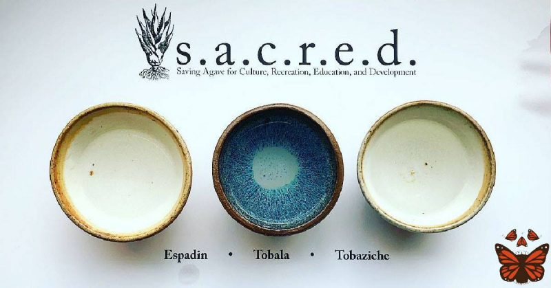 SACRED tasting at Calavera